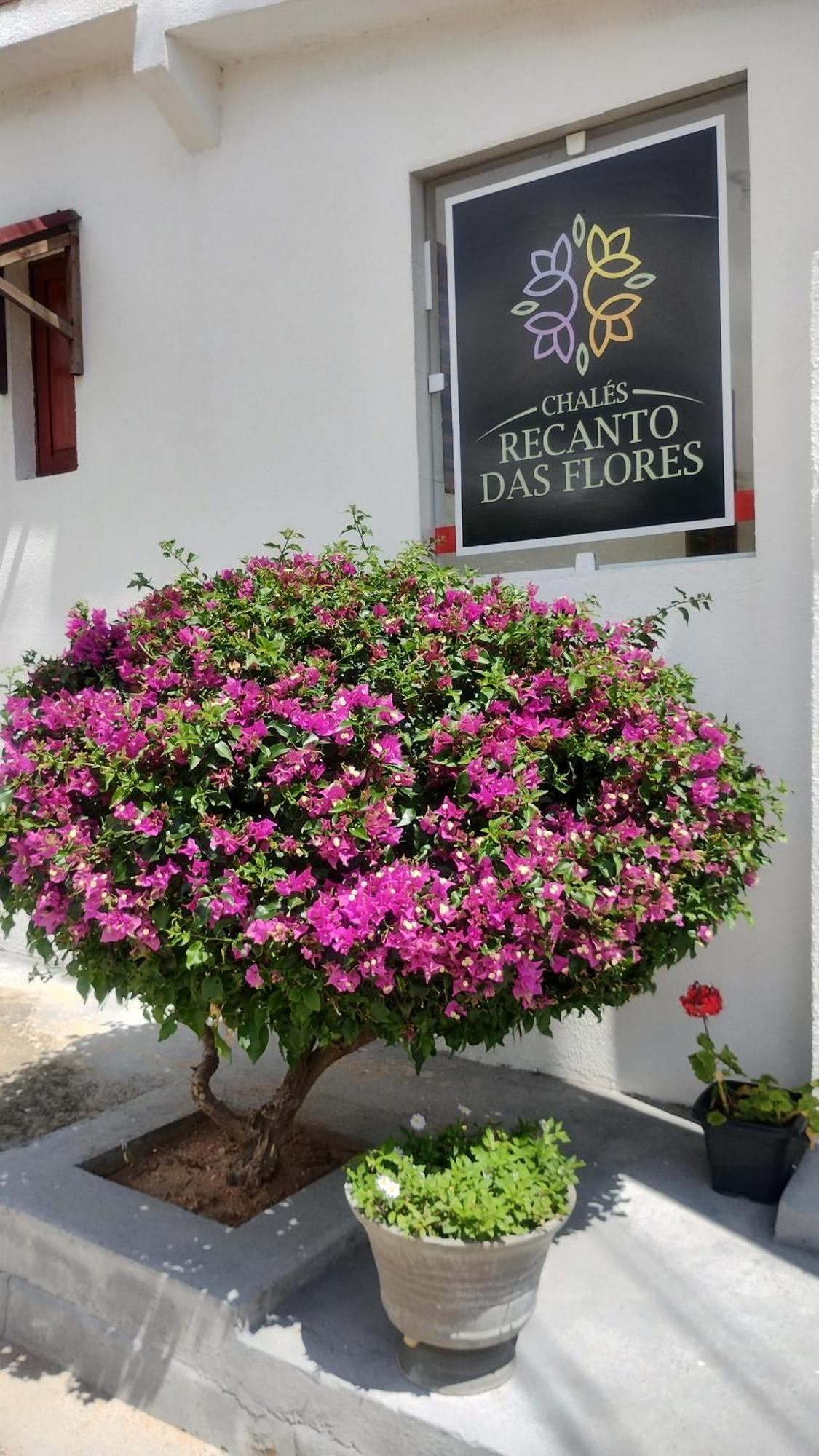 Chales Recanto Das Flores Rn Monte das Gameleiras Exteriör bild